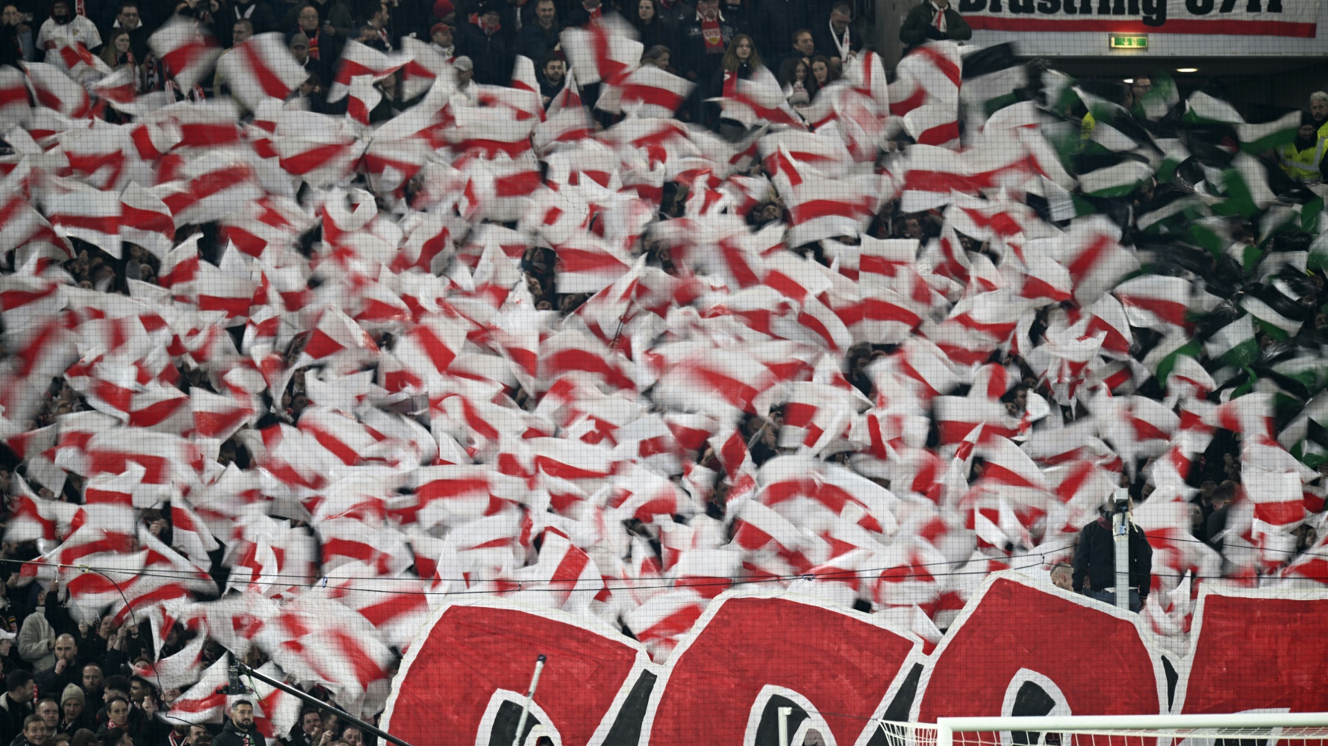 Der VfB Stuttgart gewinnt immer mehr Mitglieder
