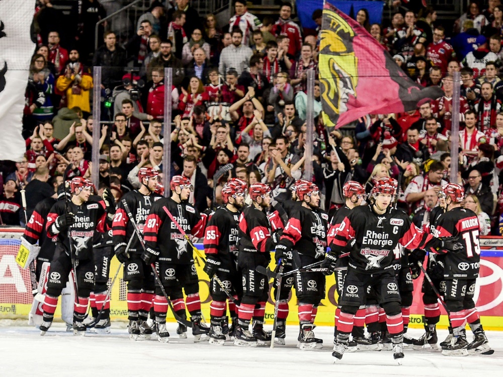 Auch bei den Haien hofft man auf Rückkehr der Fans Auch bei den Haien hofft man auf Rückkehr der Fans
