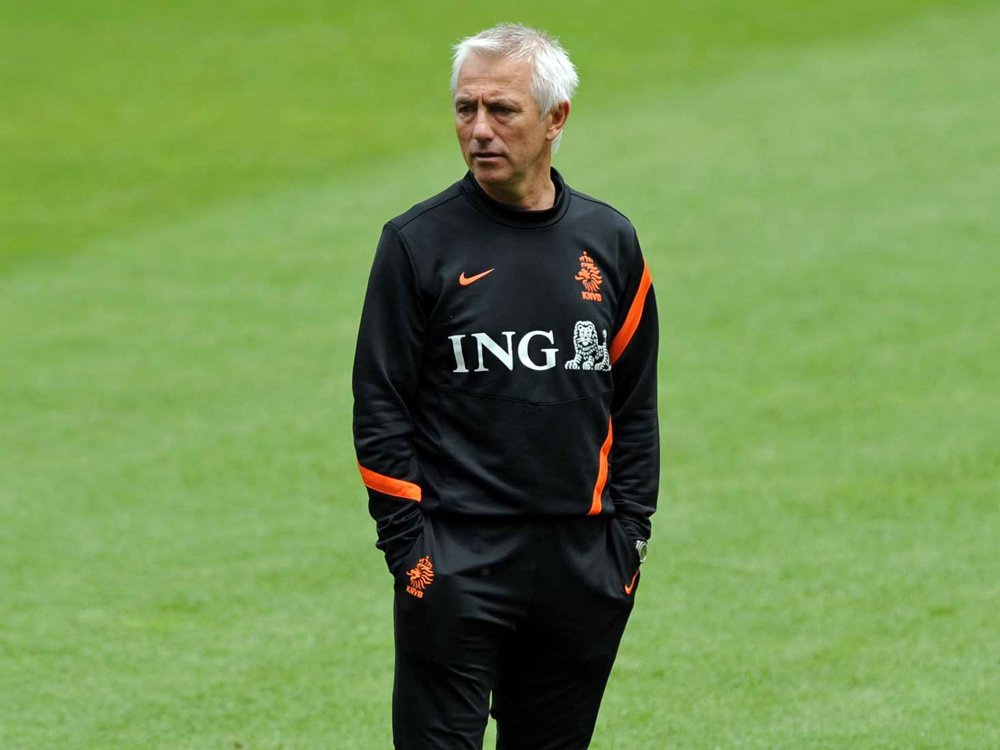 Bert van Marwijk: Lob von Rafael van der Vaart