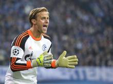 Hildebrand stand zuletzt bei Schalke 04 unter Vertrag