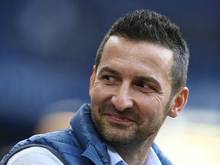 Zinnbauer sieht "deutliche Fortschritte" beim HSV