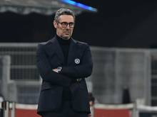 Udinese Calcio: Gotti konnte die Talfahrt nicht stoppen