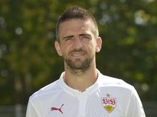 Vedad Ibisevic traf gegen FK Laci doppelt