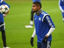 Der AC Milan ist wohl an Kevin-Prince Boateng interessiert