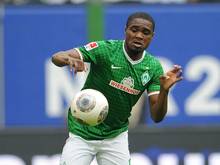 Cedric Makiadi fehlt Bremen am Freitag in Leverkusen