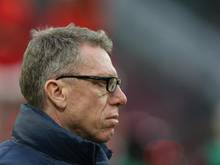 FC-Trainer Stöger legt Facebook-Pause ein