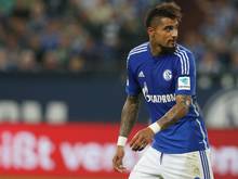 Schalke muss in Leverkusen erneut auf Kevin-Prince Boateng verzichten