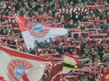Fünf Bayern-Fans in Turin festgenommen