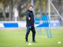 Bruno Labbadia: "Gucken nach jungen Spielern"