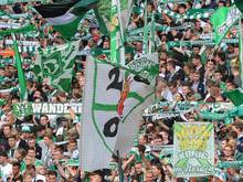 1000 Werder-Fans pilgerten zum ersten Skripnik-Training