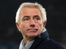 HSV-Trainer Bert van Marwijk