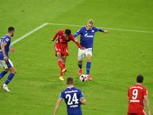 Musiala (2.v.l.) traf gegen Schalke zum 8:0