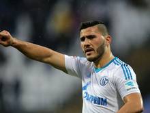 Sead Kolasinac will länger auf Schalke bleiben