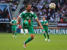 Im Training verletzt: Harnik fehlt gegen Wolfsburg