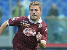 BVB und Atletico buhlen um Immobile