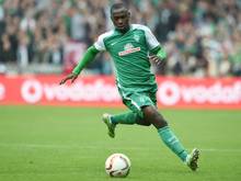 Werder Bremen wird beim Nordderby nicht mit dem üblichen "Wiesenhof"-Aufdruck auflaufen