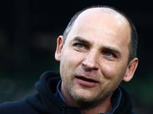 Skripnik stärkt Wolf den Rücken