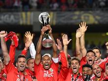 Benfica feiert den Ligapokal-Sieg in Coimbra