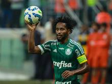 Zé Roberto hat seinen Vertrag bei Palmeiras verlängert