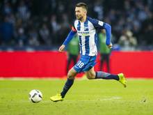 Vedad Ibišević fühlt sich wohl bei der Hertha