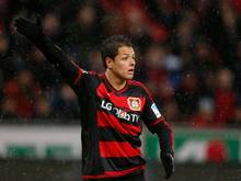Chicharito leidet derzeit noch an einer Muskelverletzung