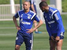 Wurden suspendiert: Sidney Sam und Kevin-Prince Boateng