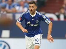Kam aus Mainz zu Schalke 04: Adam Szalai