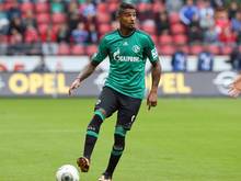 Boateng kauft sich eine Loge auf Schalke