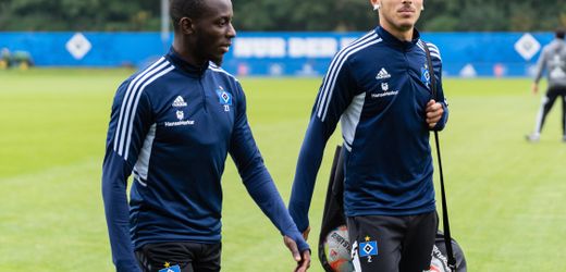 Hamburger SV verhängt Geldstrafen gegen Jean-Luc Dompé und William Mikelbrencis