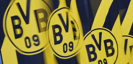 Borussia Dortmund setzt sich durch: AfD stellt Stickerwerbung mit BVB-Bezug ein