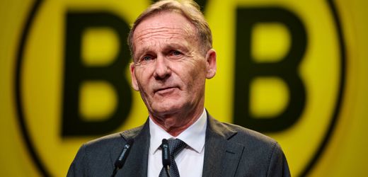 Borussia Dortmund geht gegen AfD-Wahlwerbung vor