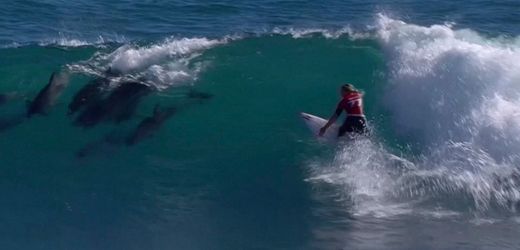 Surfen: Gabriela Bryan siegt bei World Surf League und wird von Delfinen begleitet