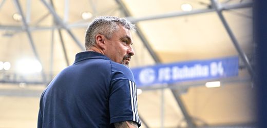 FC Schalke 04 beurlaubt Trainer Thomas Reis: Warum der Klub nicht zur Ruhe kommt