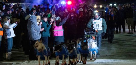 Iditarod – Alaska: Ex-Fernsehstar gewinnt legendäres Hundeschlittenrennen
