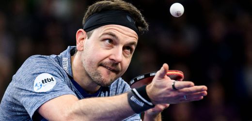 Tischtennis: Timo Boll erwägt Praktikum bei Borussia Dortmund