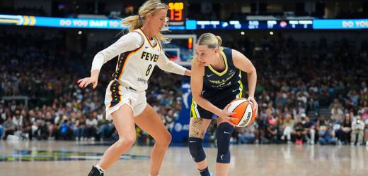 Basketball: Schon wieder wirft jemand ein Sextoy auf einen WNBA-Court
