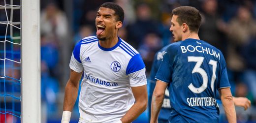 Bundesliga: Darum ist der FC Schalke wieder bundesligatauglich