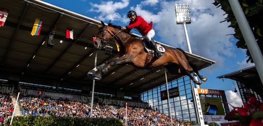 Pferdesport: CHIO Aachen und Scientist Circle - Wie geht es Sportpferden beim Turnier?