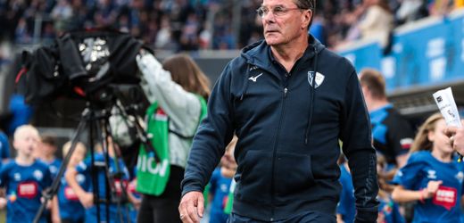 2. Fußball-Bundesliga: VfL Bochum trennt sich von Trainer Dieter Hecking