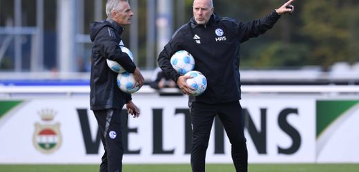 2. Fußball-Bundesliga: FC Schalke 04 stellt Trainer Kees van Wonderen noch vor Saisonende frei