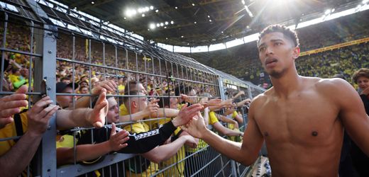 Borussia Dortmund an der Börse: Warum die BVB-Aktie stark schwankt