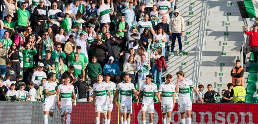 Spanischer Fußballklub FC Elche verbietet Sonnenblumenkerne im Stadion