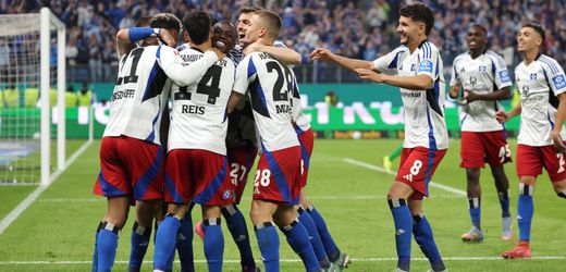 So wird die kommende Bundesliga-Saison laufen (vielleicht)
